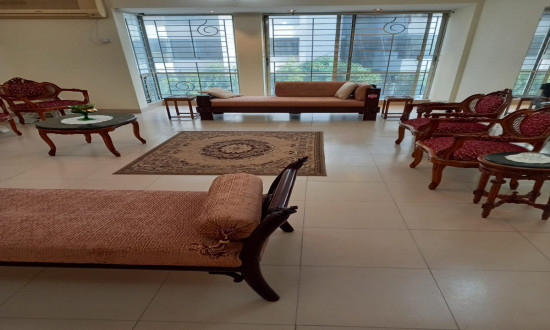 Luxurious furnished apartment baridhara